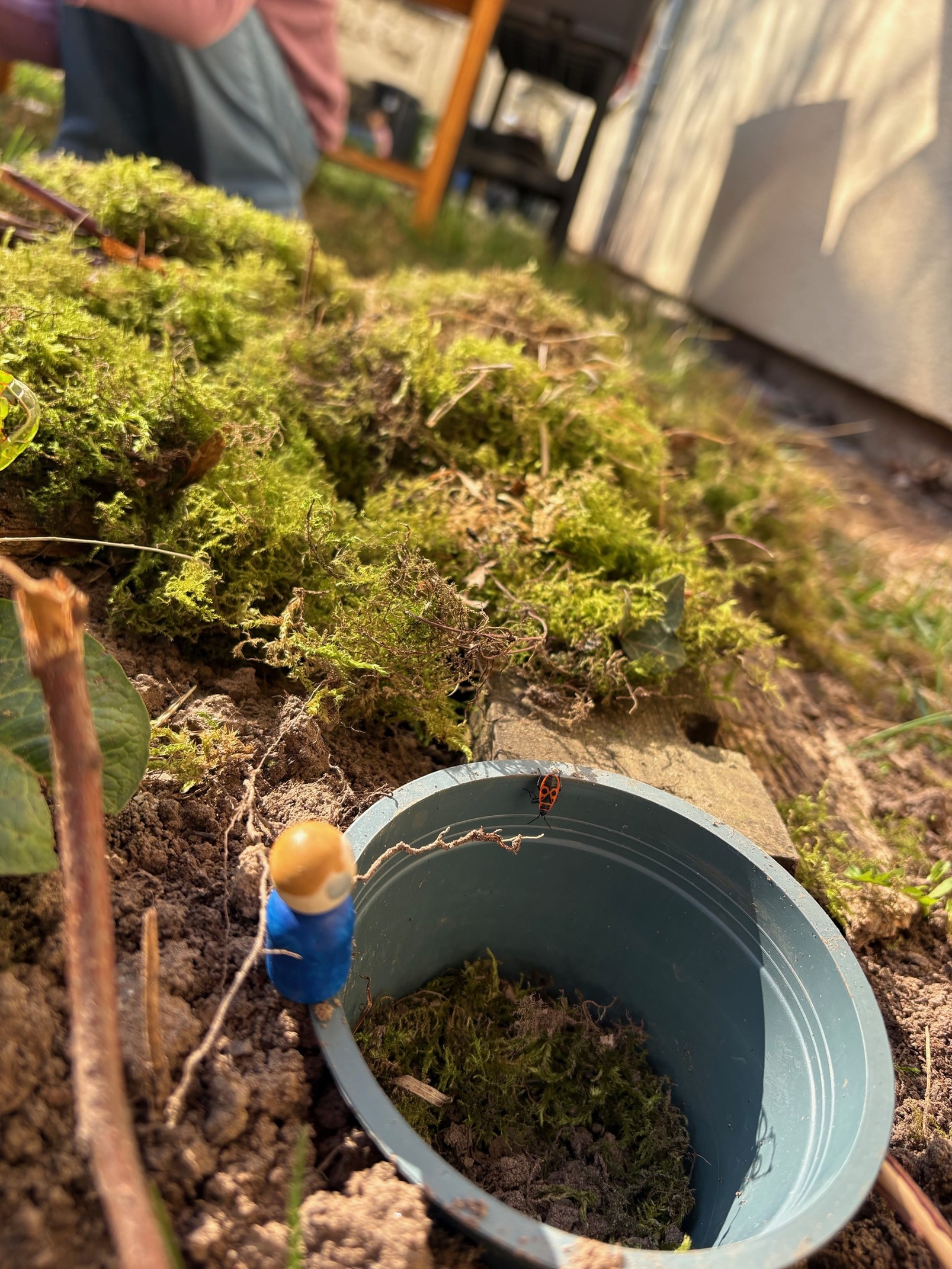 News aus der Garten AG