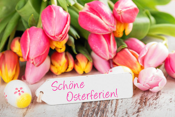 Frohe Osterferien! 